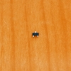 MMBT5401 (2L)