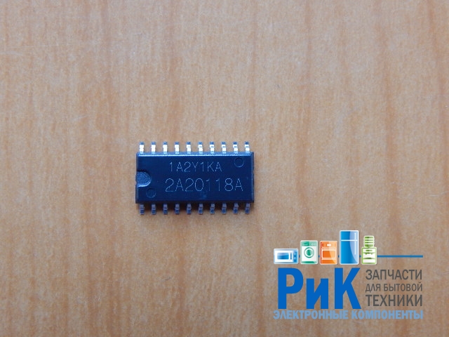 R2A20118ASP